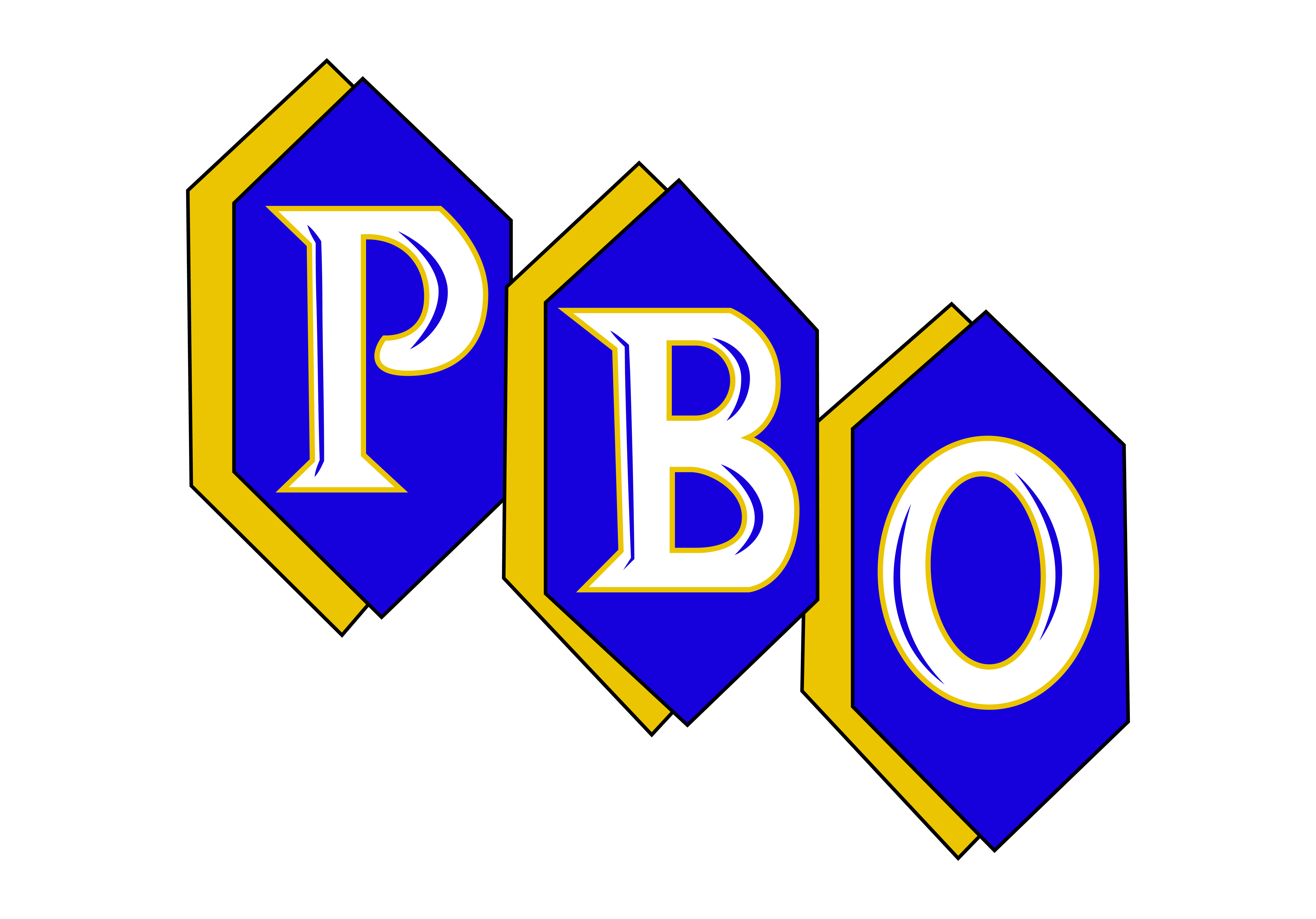 PBO Holdings LLC